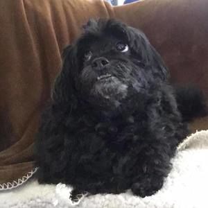 Meet your Posher, Vicki